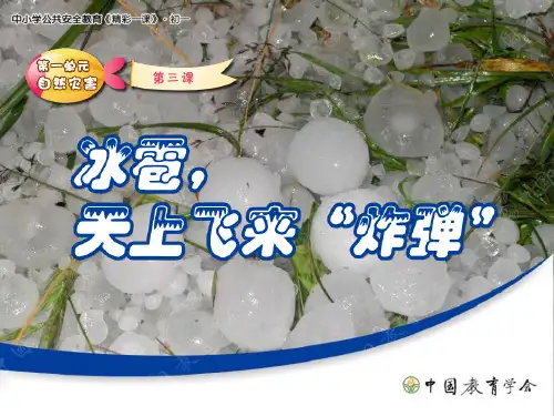 安全教育-自然灾害-冰雹-天上飞来炸弹ppt课件
