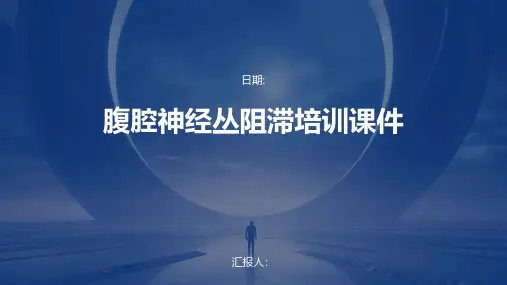 腹腔神经丛阻滞培训课件