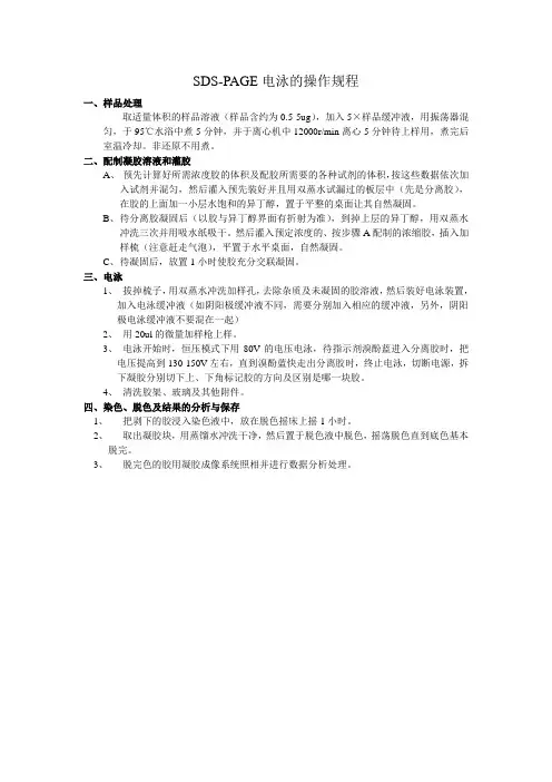 SDS-PAGE电泳注意事项