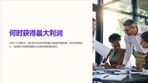《何时获得最大利润》课件