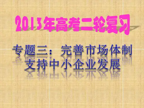 高考政治热点专题三《完善市场体制支持中小企业发展》课件新人教版