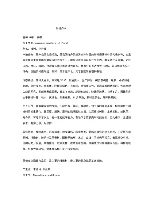 上海常用常绿乔木