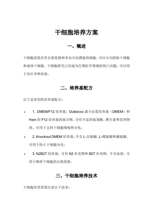 干细胞培养方案