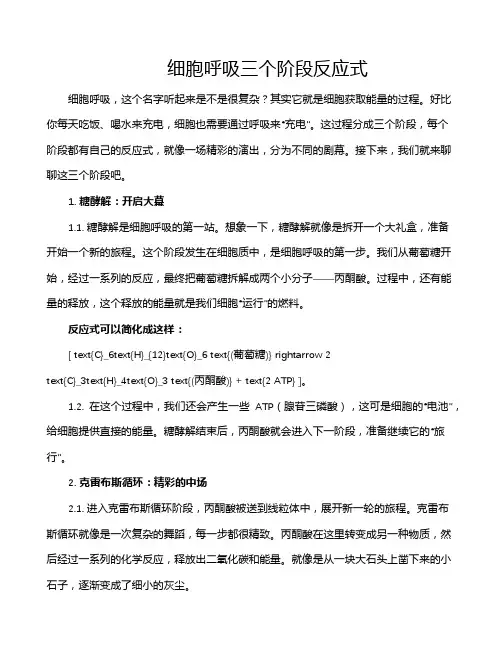 细胞呼吸三个阶段反应式