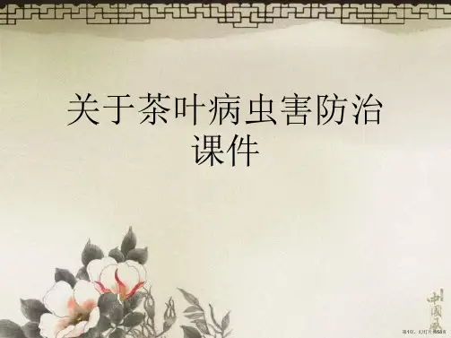 茶叶病虫害防治课件课件
