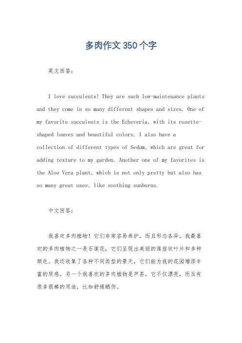 多肉作文350个字