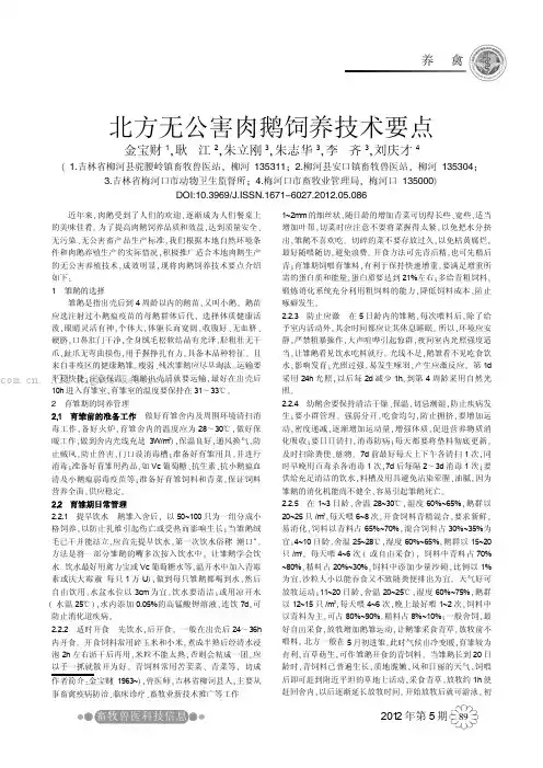 北方无公害肉鹅饲养技术要点     