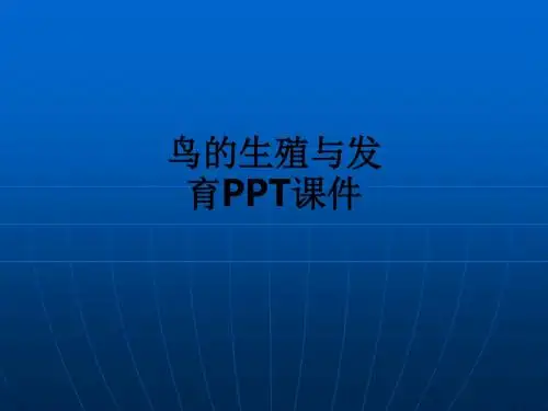 鸟的生殖与发育ppt课件