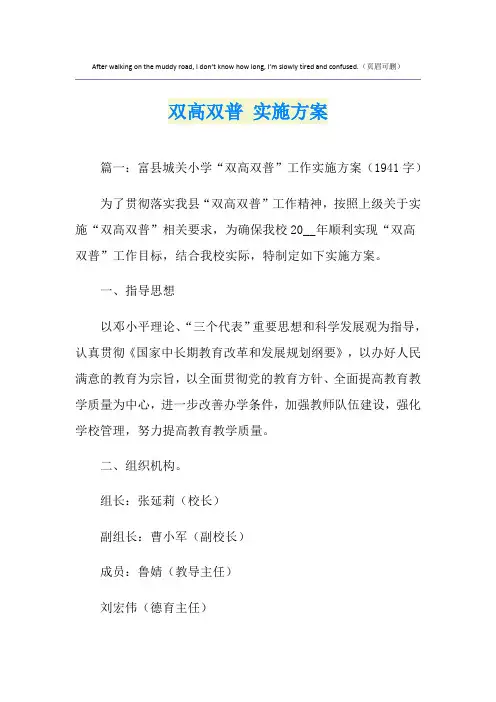 双高双普 实施方案