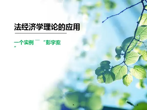 法经济学分析案例---彭宇案