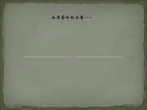 血清蛋白的分离——