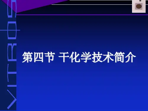 《干化学技术简介》PPT课件