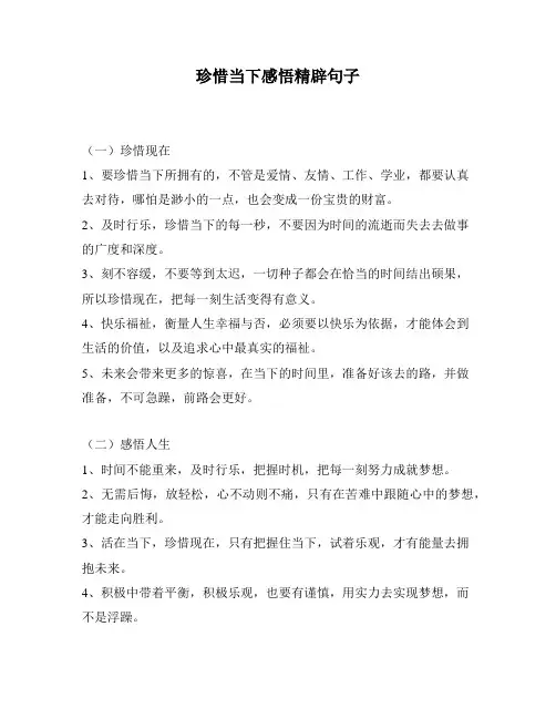 珍惜当下感悟精辟句子