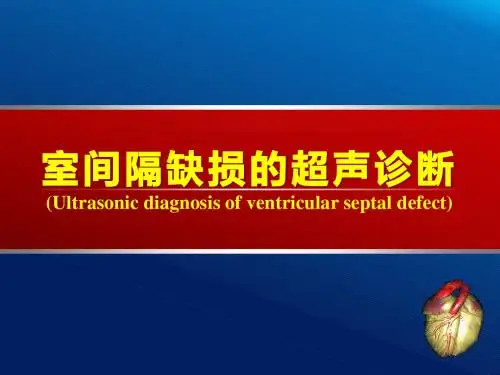 室间隔缺损、心内膜垫缺损超声诊断