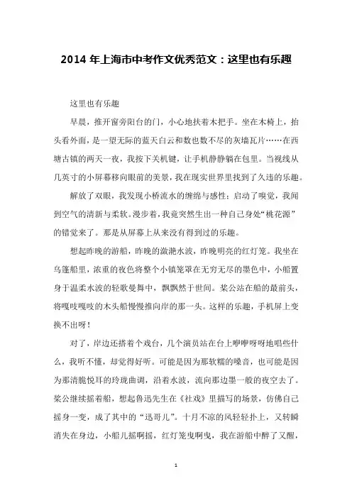 2014年上海市中考作文优秀范文：这里也有乐趣