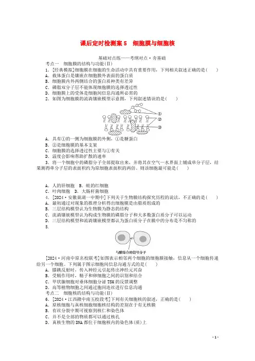 2024高考生物一轮复习课后定时检测案5细胞膜与细胞核含解析新人教版