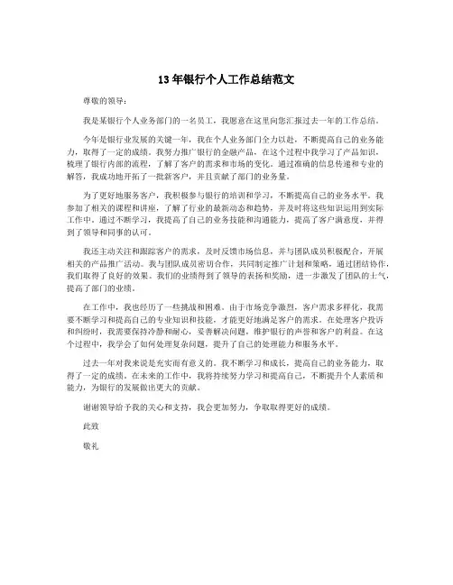 13年银行个人工作总结范文