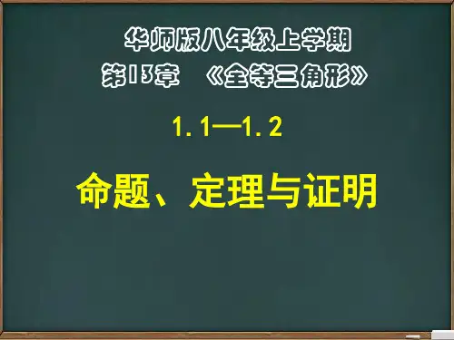 华东师大版数学八年级上册1命题、定理与证明(2课时20张)