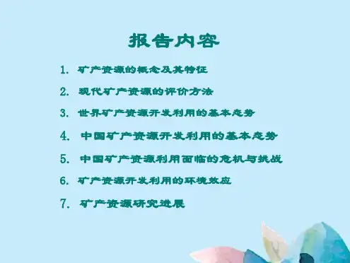 矿产资源开发利用及其生态环境效应(共99张精选PPT)