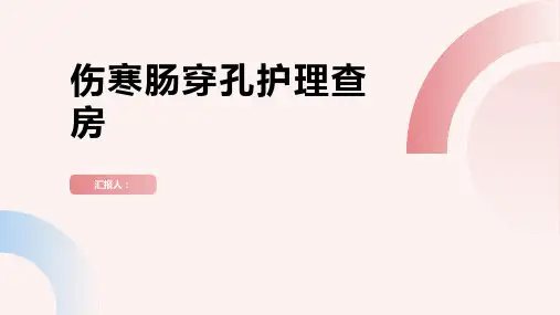 伤寒肠穿孔护理查房PPT
