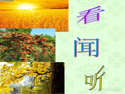 《秋天的雨》(公开课)PPT课件