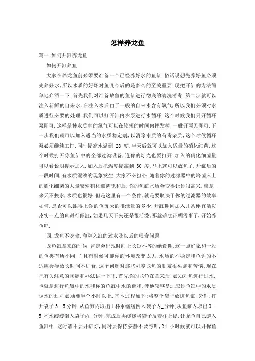 怎样养龙鱼