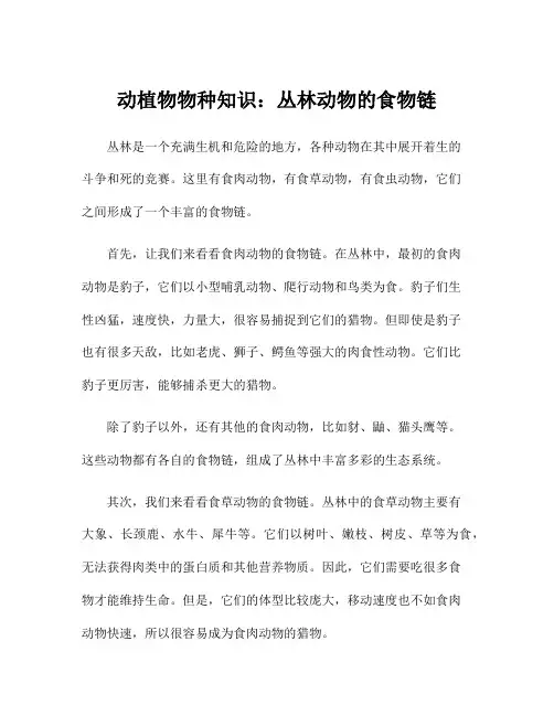 动植物物种知识：丛林动物的食物链