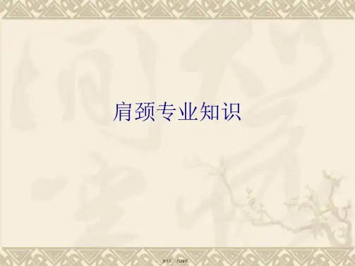 肩颈专业知识