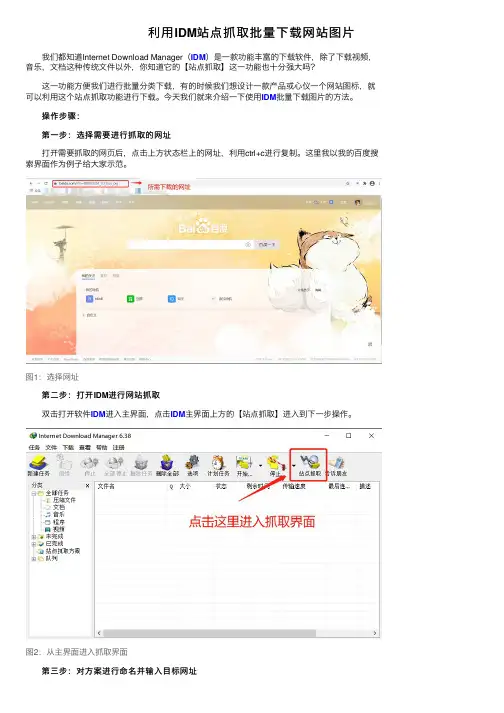 利用IDM站点抓取批量下载网站图片