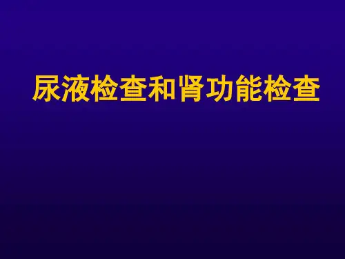 诊断学  肾功能和尿液检查