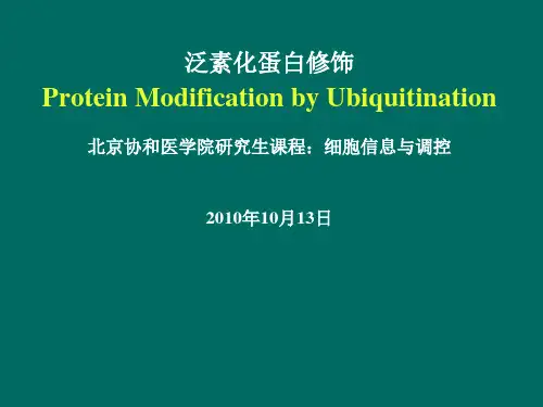 泛素化蛋白修饰