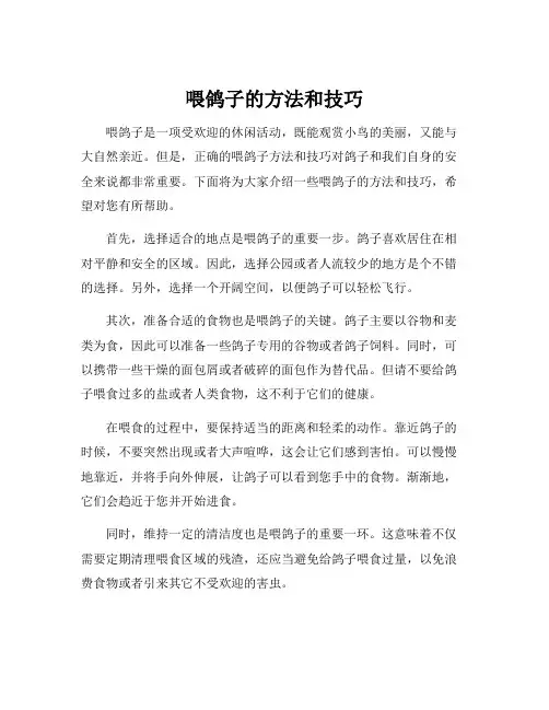 喂鸽子的方法和技巧