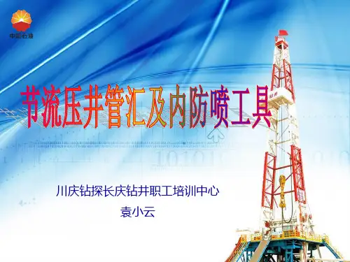 井控管汇、内防喷工具