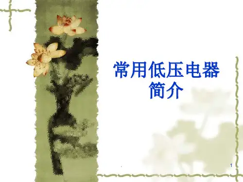 常用低压电器简介