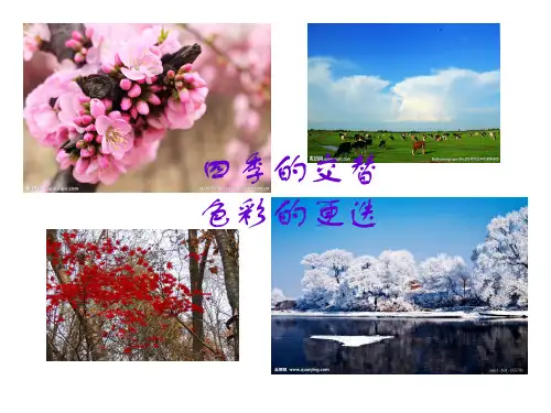 人美版八年级下册美术《8. 色彩风景画(1)》课件