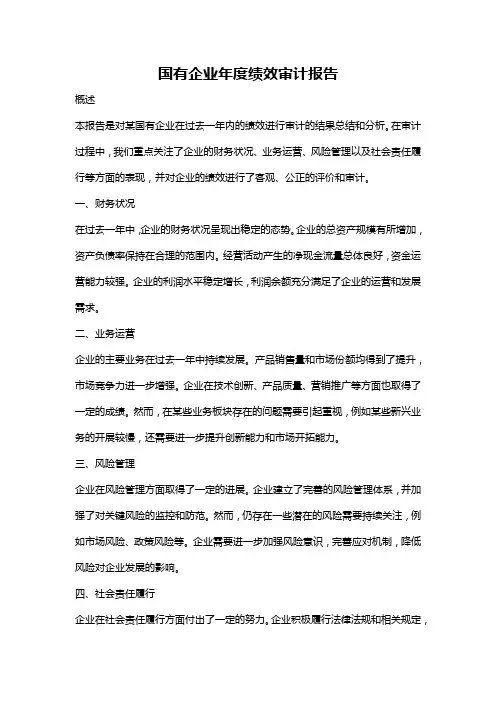 国有企业年度绩效审计报告