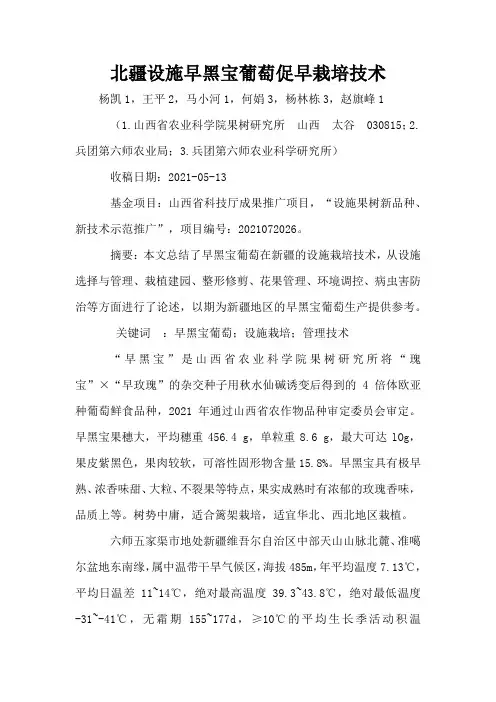北疆设施早黑宝葡萄促早栽培技术