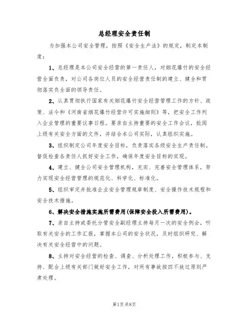 总经理安全责任制（5篇）