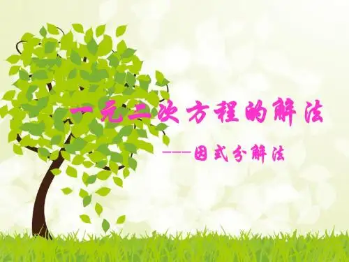 17.2(2)一元二次方程的解法—因式分解法