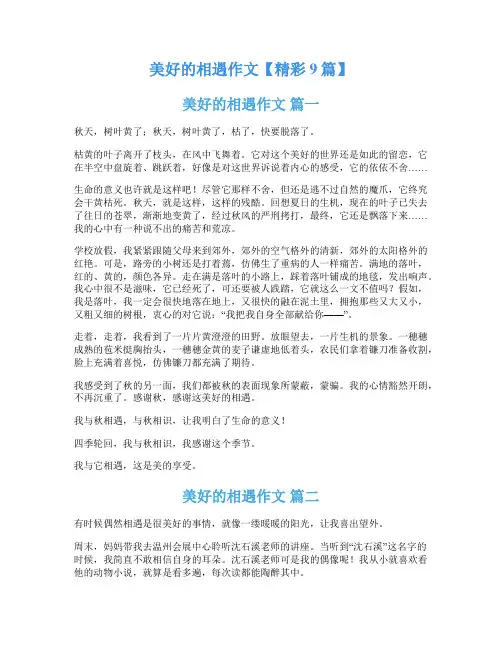 美好的相遇作文【精彩9篇】