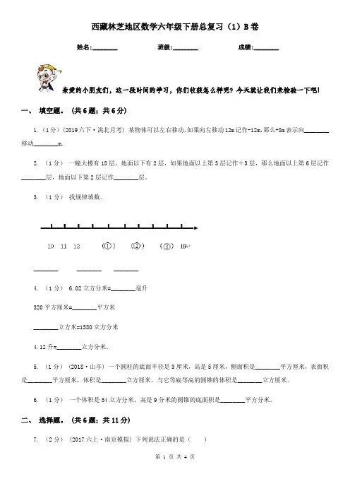 西藏林芝地区数学六年级下册总复习(1)B卷