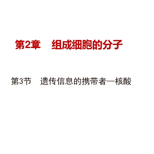 人教版高中生物必修一第二章第三节核酸ppt课件