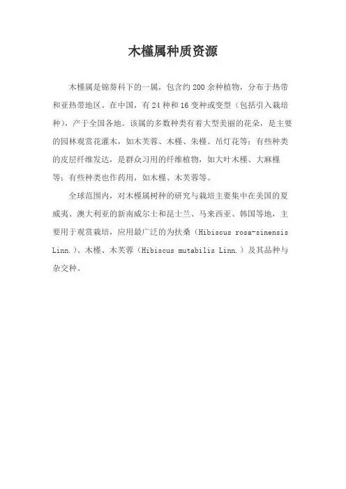 木槿属种质资源
