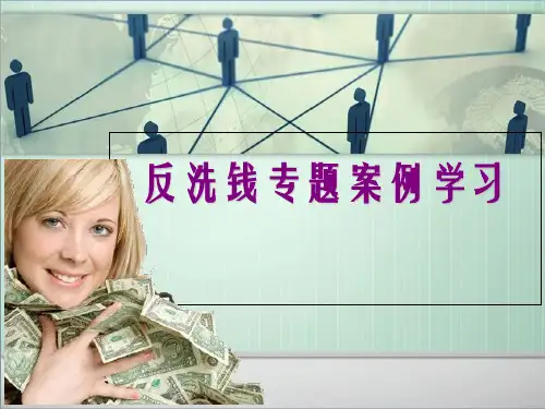 反洗钱专题案例学习-PPT课件
