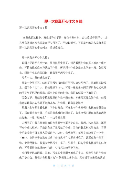 那一次我真开心作文5篇