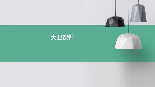 大卫课件ppt