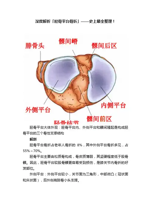 深度解析「胫骨平台骨折」——史上最全整理！