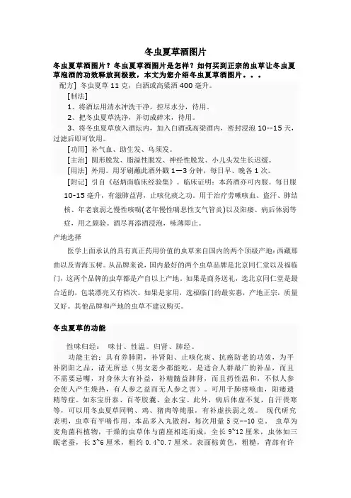 冬虫夏草酒图片