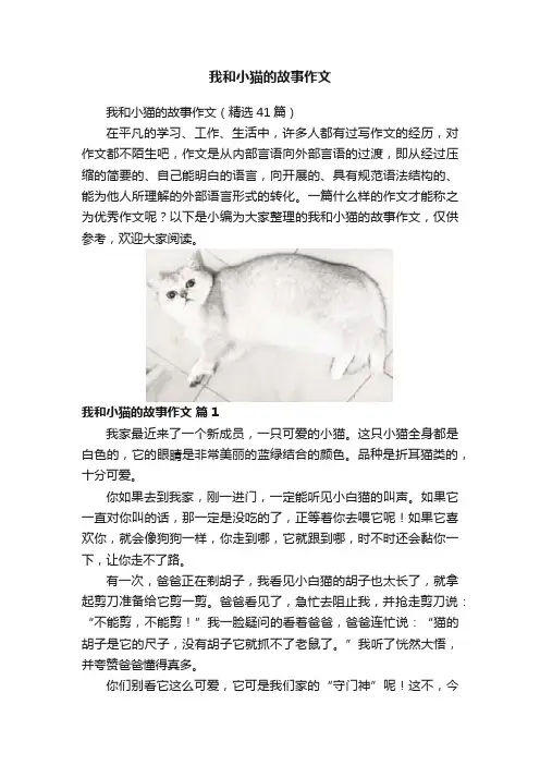我和小猫的故事作文