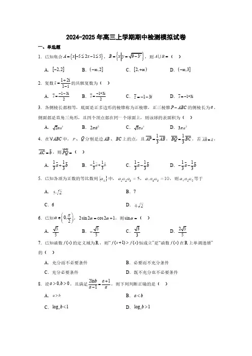 山东省2024-2025学年高三上学期期中检测数学模拟试卷(含答案)